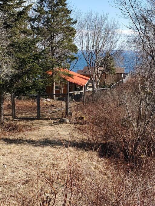 Crab Cottage Hubbards Экстерьер фото